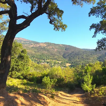 Country-side Holiday In With Swimming Pool * Grimaud