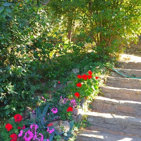 Country-side Holiday In With Swimming Pool * Grimaud